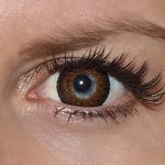 Eyelush brown v detailu na původní barvě očí modré